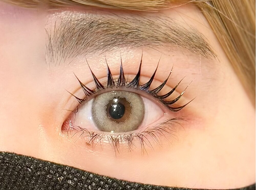 Lash Lift + Double Tint (Mascara Perm) at Polar