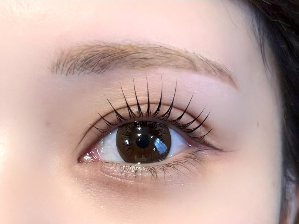 Korean-Style Lash Lift + Treatment at Polar