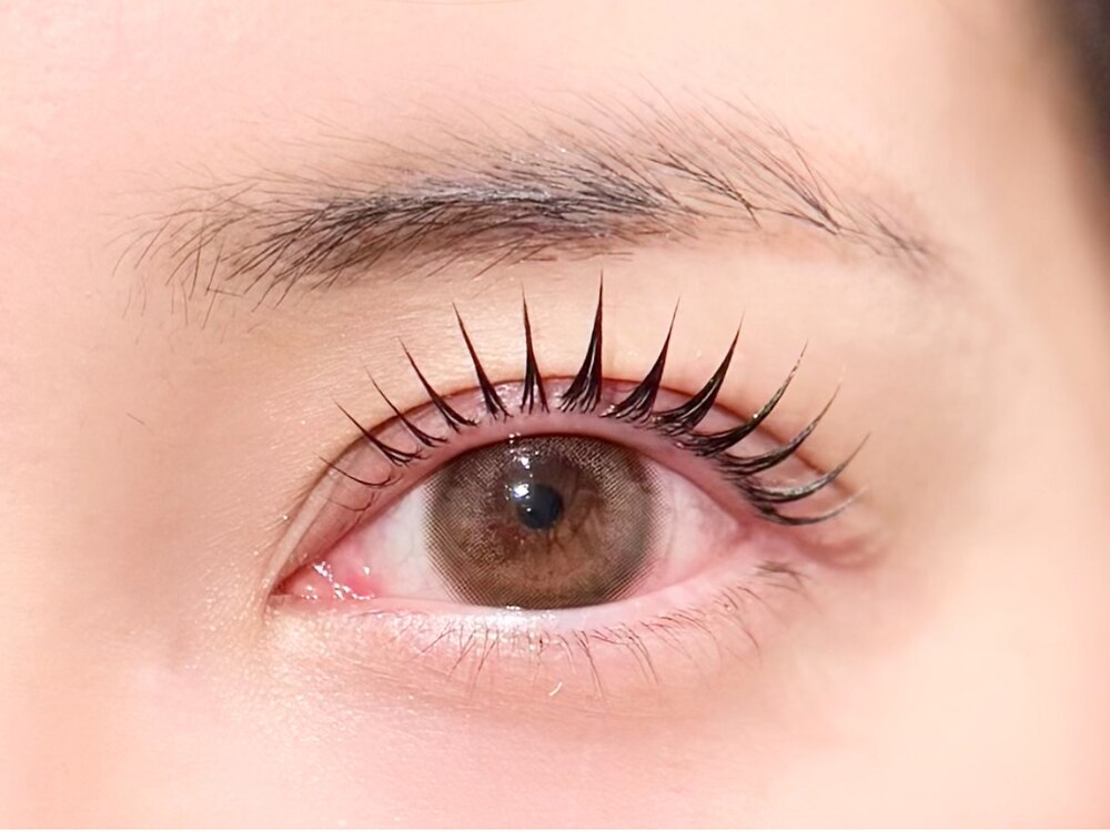Lash Lift + Single Tint (Mascara Perm) at Polar